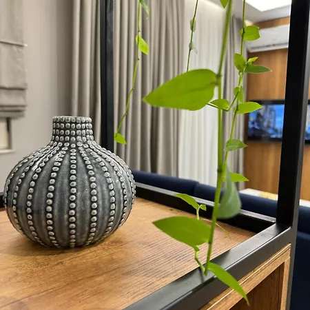 公寓 Brand New Apartament